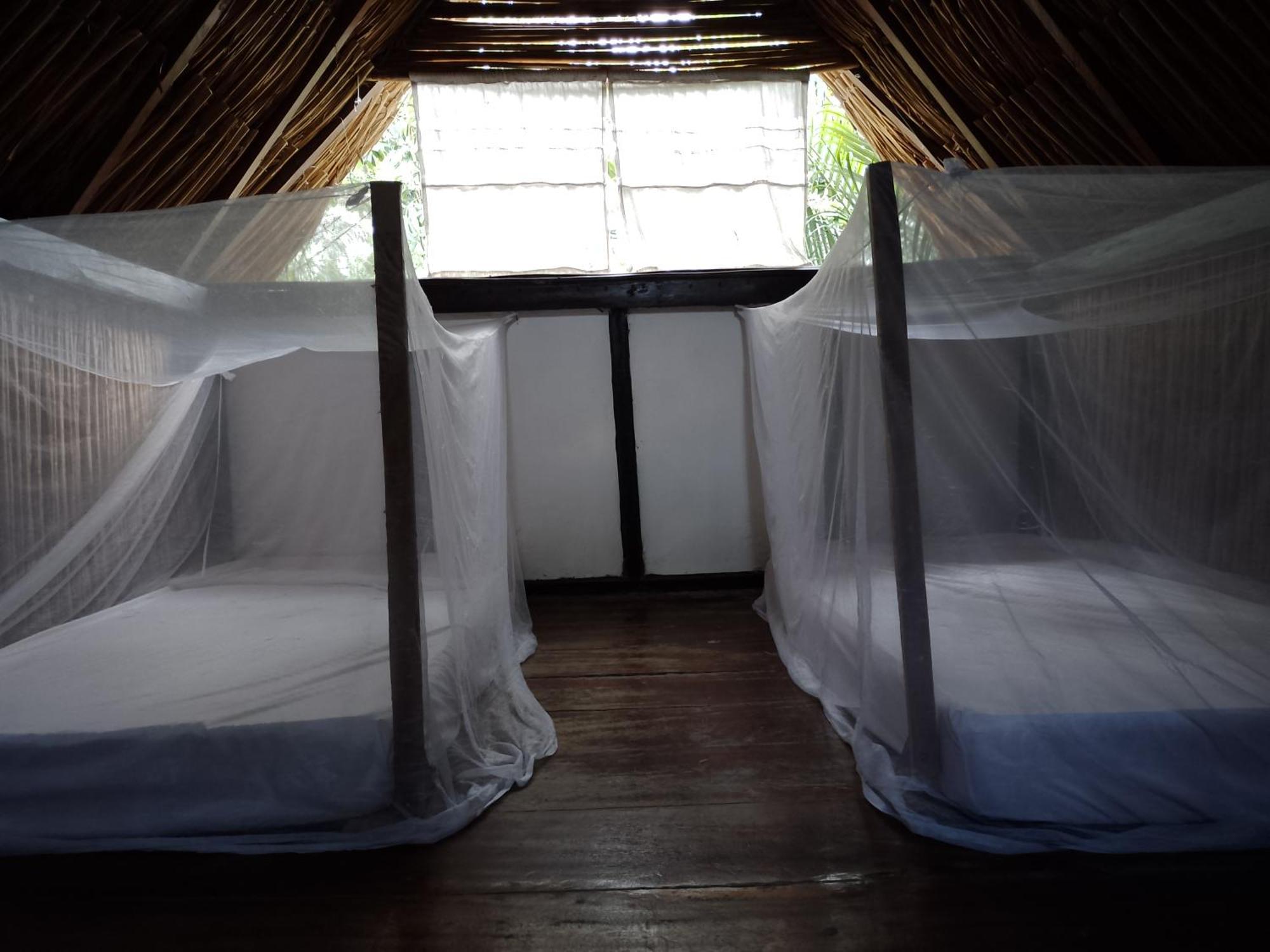 Bonita Hostel Паломино Экстерьер фото